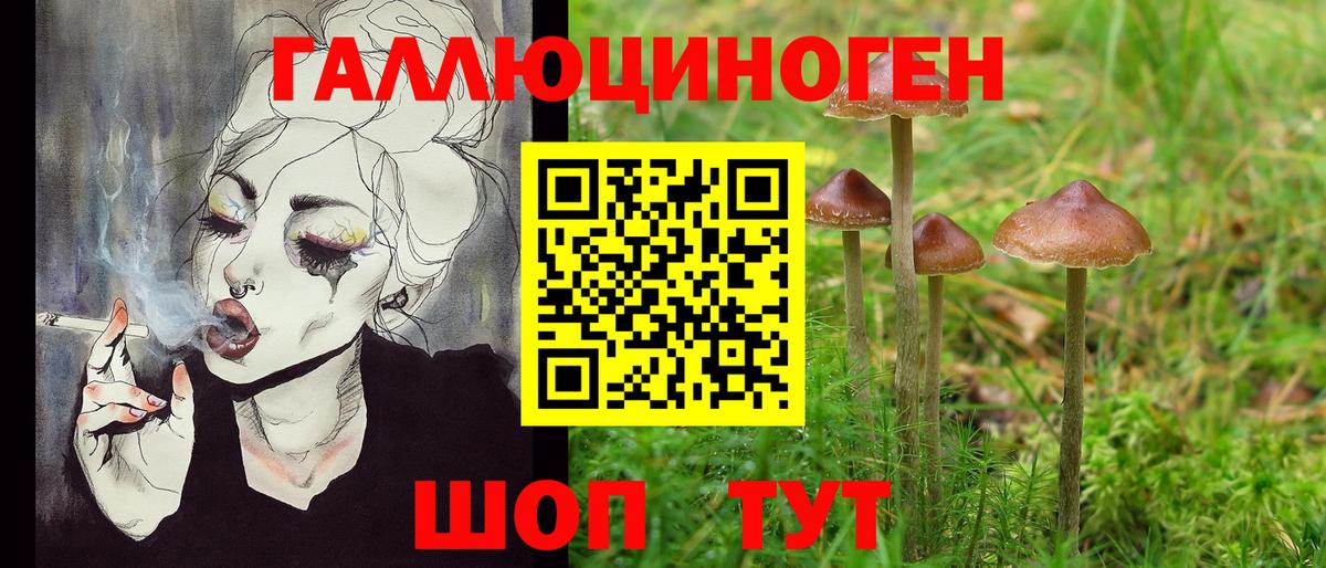 Галлюциногенные грибы Cubensis Черногорск