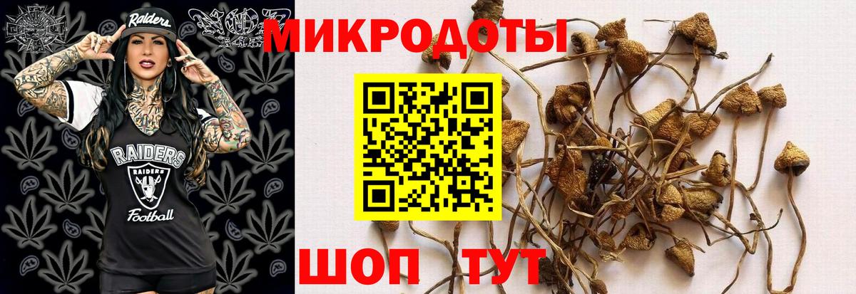 Псилоцибиновые грибы GOLDEN TEACHER  Вход с VPN  Псилоцибиновые грибы Psilocybe  Черногорск 